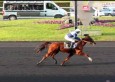 Prix de l’Ile de France : Roxane Griff au-dessus de la mêlée !