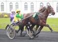 Pronostic Quinté 16 février 2014 Prix d’Orthez à Vincennes