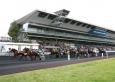 Pronostic Quinté 18 février 2014 Prix de Fontainebleau à Vincennes