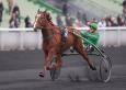 Pronostic Quinté 1er février 2014 Prix de la Gironde à Vincennes