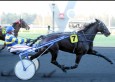 Pronostic Quinté 2 février 2014 Prix de Champtocé à Vincennes