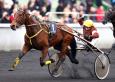 Pronostic Quinté 20 février 2014 Prix du Plateau de Gravelle à Vincennes