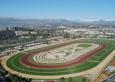 Pronostic Quinté 22 février 2014 Prix Jacques Bouchara à Cagnes sur Mer