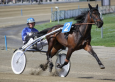 Pronostic Quinté 22 juin 2012 – Prix Clémentina – Vincennes