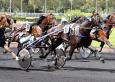 Pronostic Quinté 23 février 2014 Prix de Paris à Vincennes