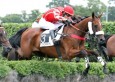 Pronostic Quinté 25 février 2014 Prix Beugnot à Enghien
