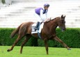 Pronostic Quinté 26 juin 2012 – Prix de l’Artois – Compiègne