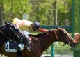 Pronostic Quinté 27 juin 2012 – Prix de la Forêt de Saint Germain – Maisons Laffitte