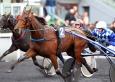 Pronostic Quinté 5 février 2014 Prix de l’Ille et Vilaine à Vincennes
