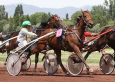 Pronostic Quinté 7 février 2014 Prix Jules Roucayrol à Cagnes sur Mer