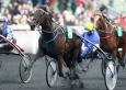 Pronostic Quinté 8 février 2014 Prix de Munich à Vincennes